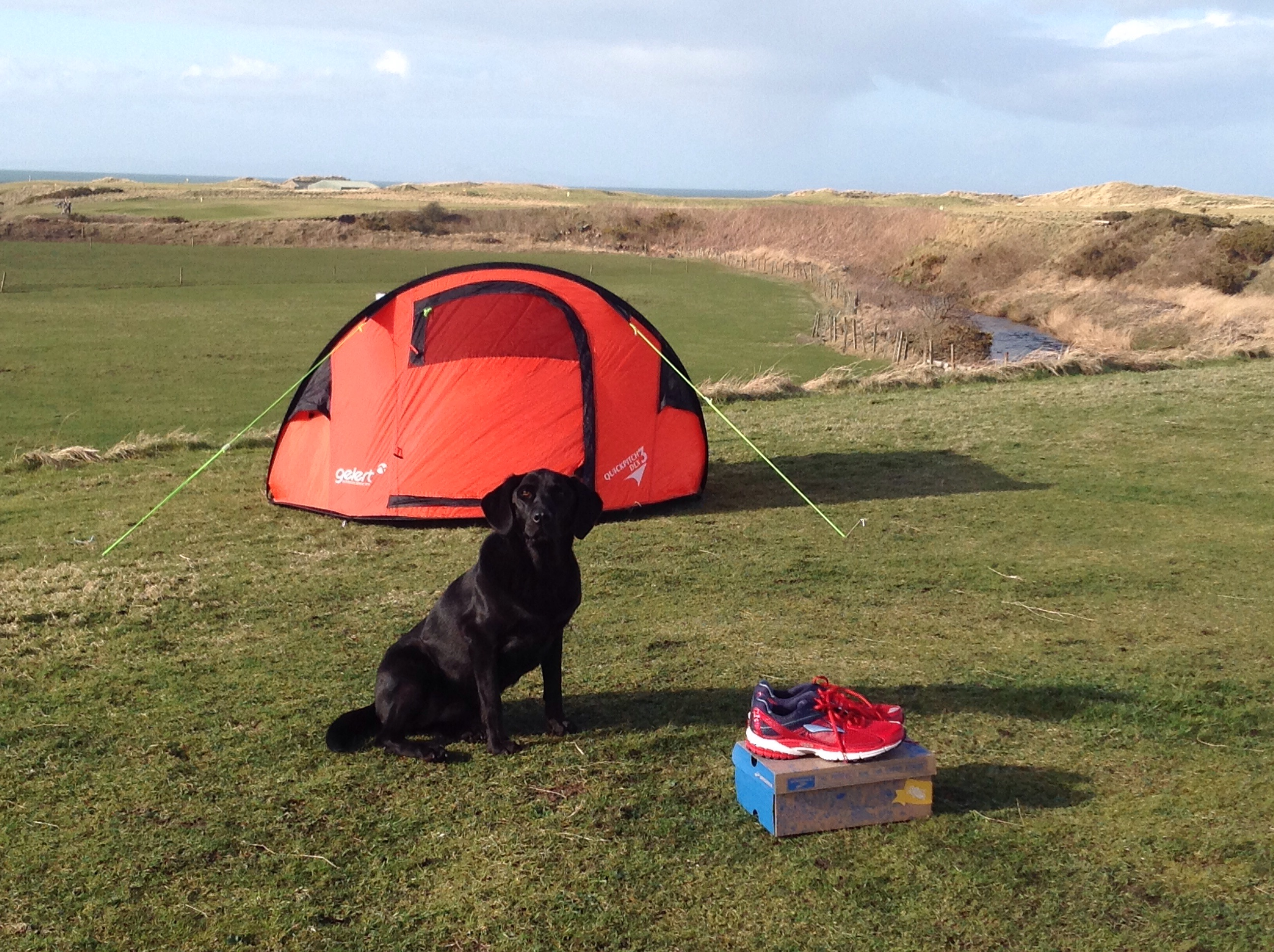 dog with red trainers and red tent Machrihanish Holiday Park